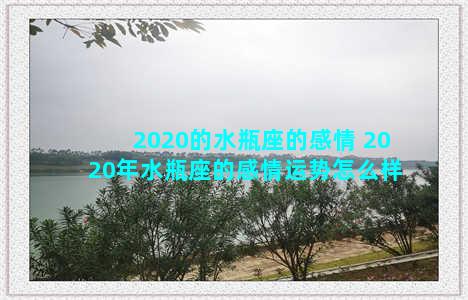 2020的水瓶座的感情 2020年水瓶座的感情运势怎么样